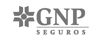 GNP