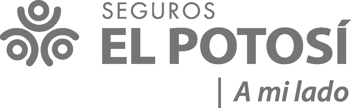 Seguros El Potosi