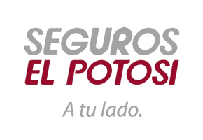 Seguros El Potosi