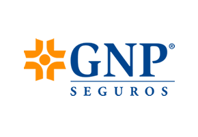 GNP